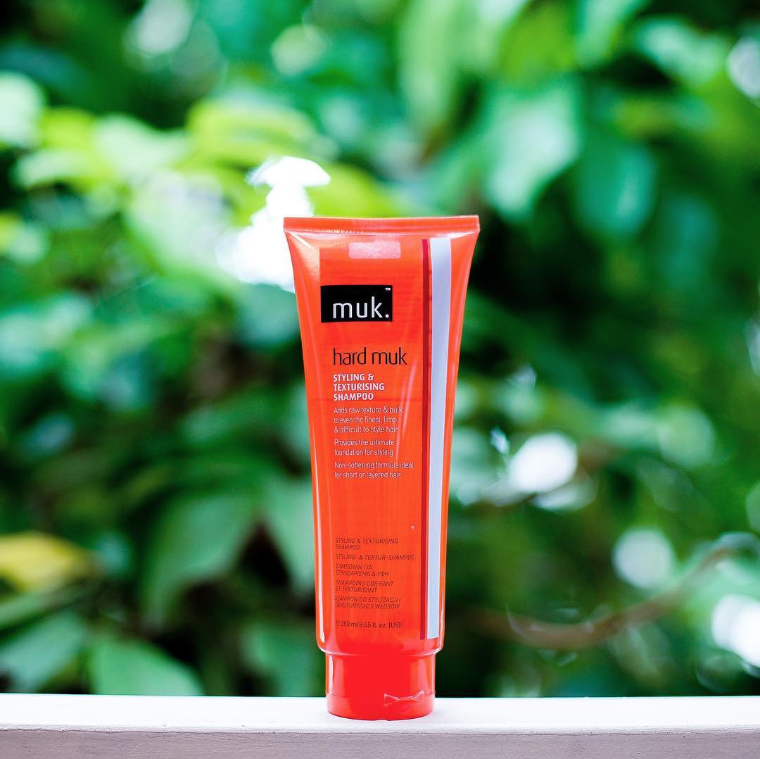 31511513_383730195473075_4788097573862768640_n