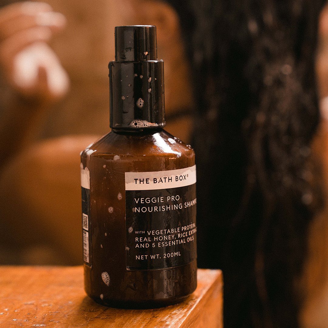 240875399_384534346387435_2283617899137990601_n