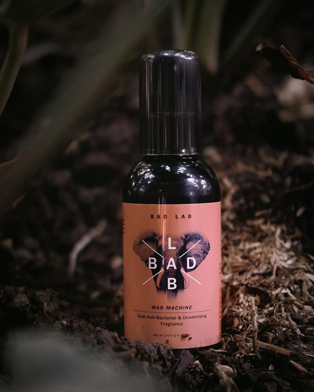 110272033_100580175067641_820266507293817040_n